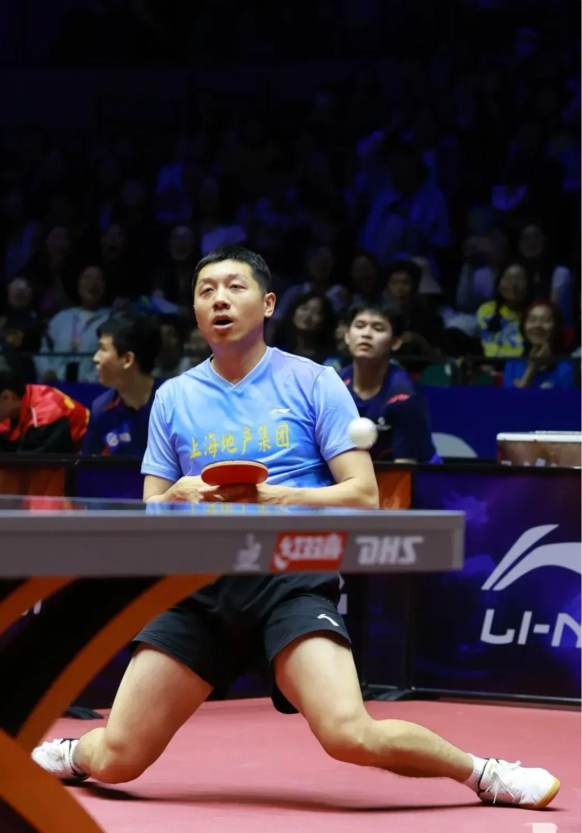 开云体育直播-德国乒乓球队完胜波兰乒乓球队，许昕高光表现