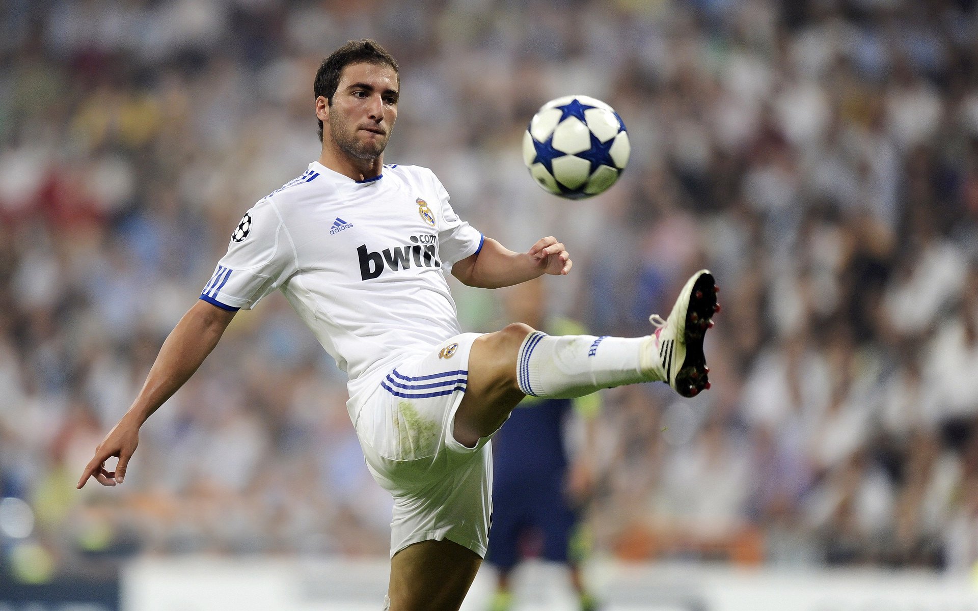 赛道与球场的双星闪耀,浓眉在F1争冠之夜的巨星启示